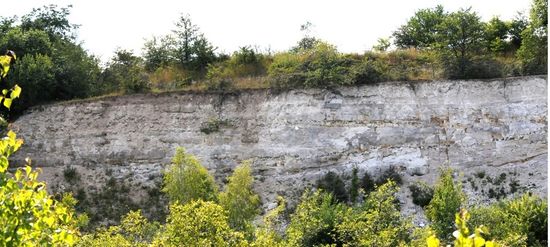 Limestone outcrop